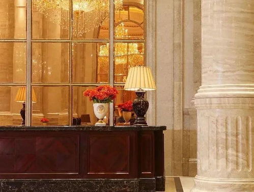 深圳福田山語(yǔ)清暉大戶型現(xiàn)樓深度解析 奢居典范，靜享繁華